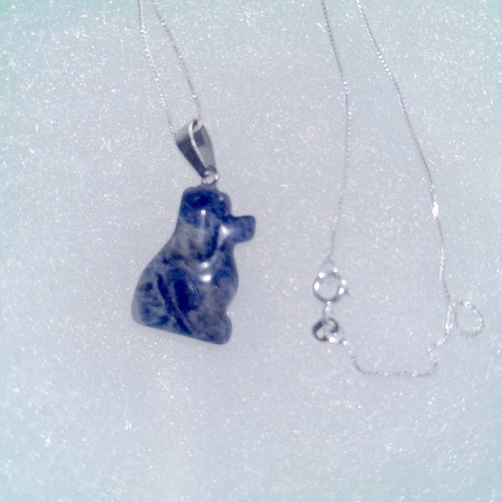 Boho Hippie Sodalite Dog Sterling Silver Necklace 16”
